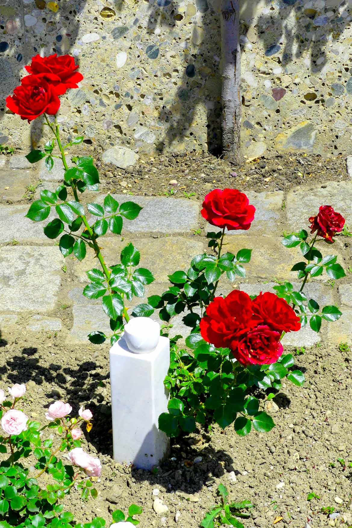 Eine Rose mit Stele.